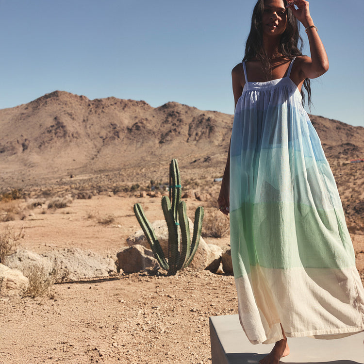 Woman in a colorful sheer dress standing in a desert with mountains and cacti.